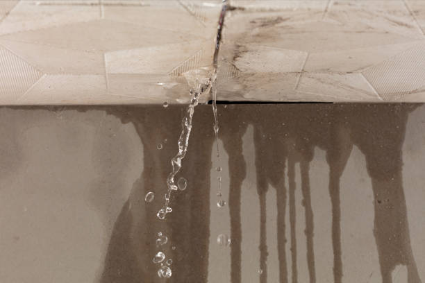 Professional Commercial Water Damage Restoration technician working in Eau Galle, WI